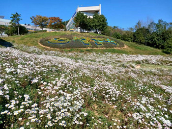 메인사진