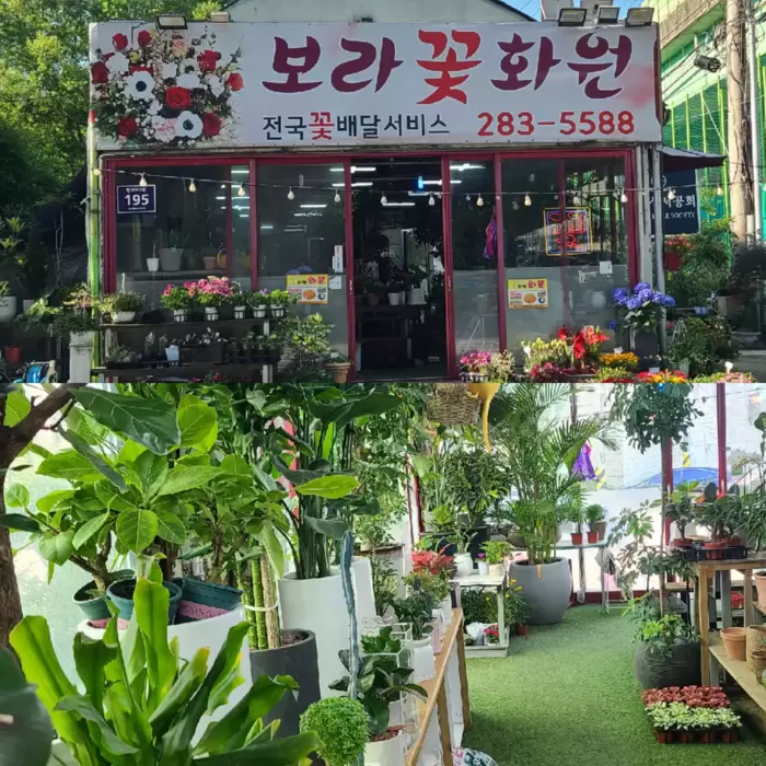 메인사진